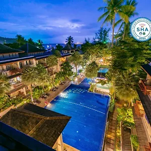 book here